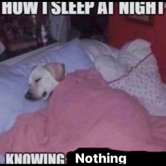 Meet your Posher, Ericca - Picture 6 of 12